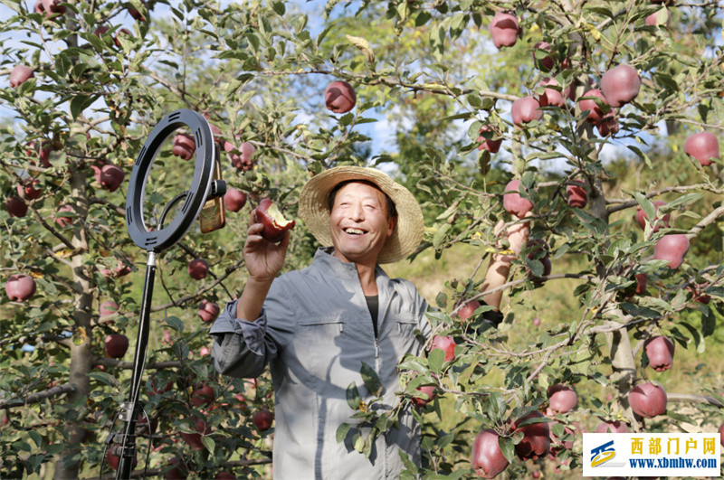 逐梦乡间农产!甘肃新农人吆喝“土味”寄乡愁(图1) 逐梦乡间农产!甘肃新农人吆喝“土味”寄乡愁(图1)