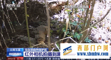 玉溪的TA和宝宝一起上央视了~(图1) 玉溪的TA和宝宝一起上央视了~(图1)