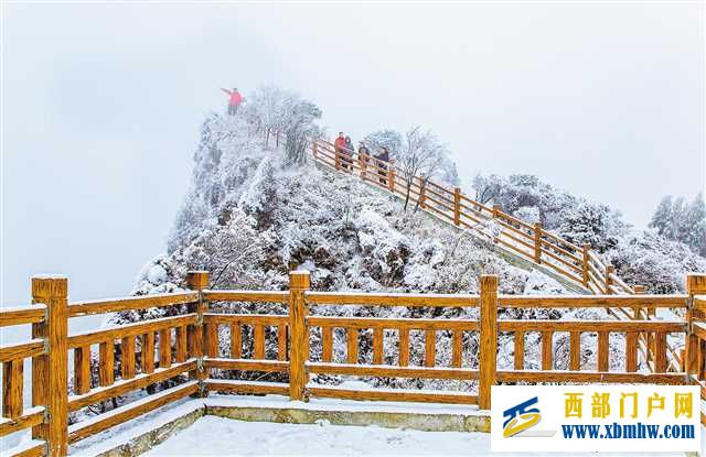 连续3天雨+雪 重庆仍未入冬(图1) 连续3天雨+雪 重庆仍未入冬(图1)