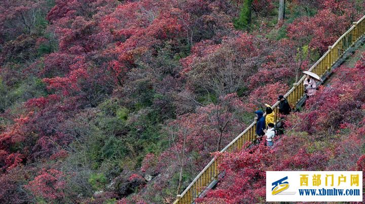 长江六日(图10) 长江六日(图10)