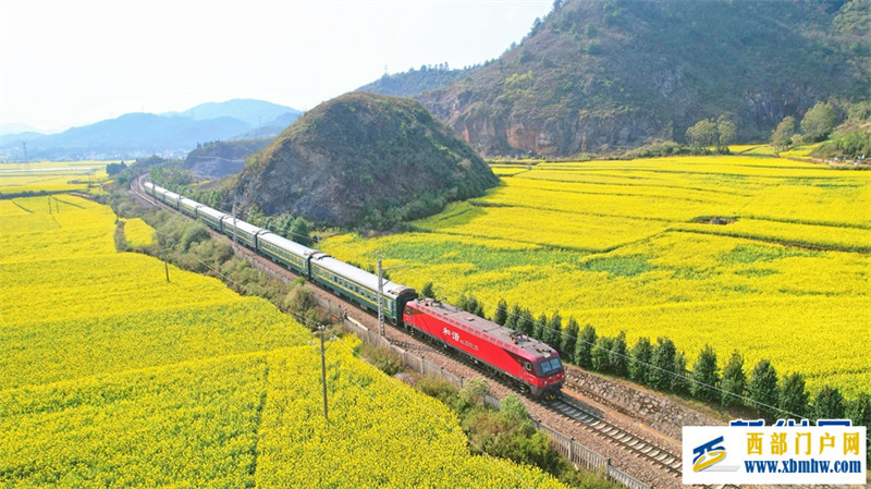 “赏花专列”开进云南罗平油菜花海(图1) “赏花专列”开进云南罗平油菜花海(图1)
