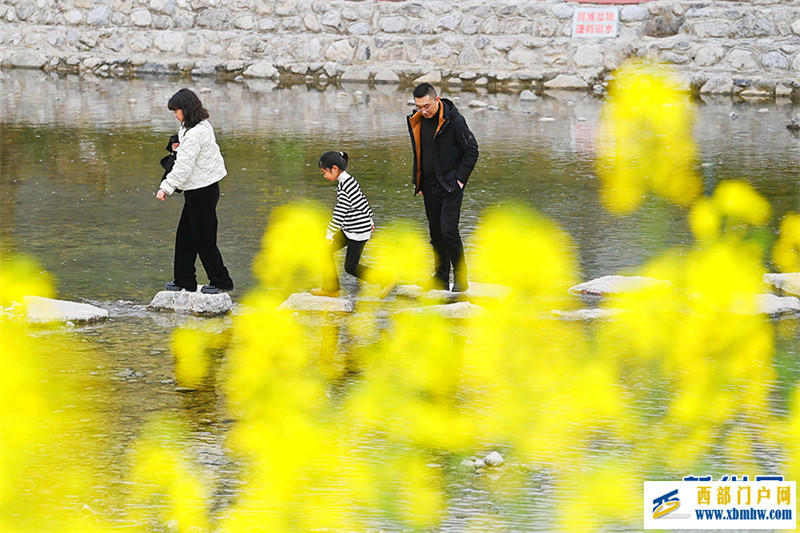 重庆酉阳:唱好“花经济” “颜值”变产值(图1) 重庆酉阳:唱好“花经济” “颜值”变产值(图1)