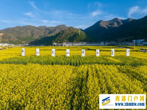 春花盛事,震撼巴山 | 2024最美油菜花海汉中旅游文化节镇巴分会场活动隆重举行(图4) 春花盛事,震撼巴山 | 2024最美油菜花海汉中旅游文化节镇巴分会场活动隆重举行(图4)