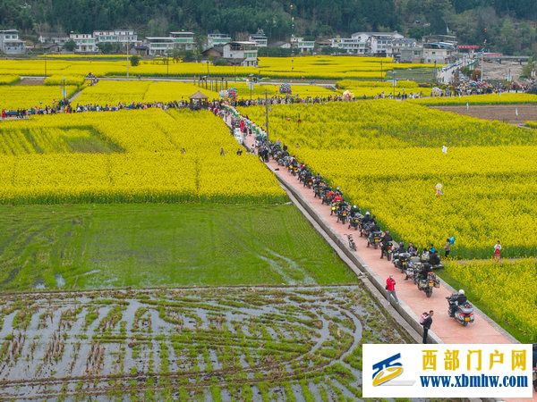 春花盛事,震撼巴山 | 2024最美油菜花海汉中旅游文化节镇巴分会场活动隆重举行(图19) 春花盛事,震撼巴山 | 2024最美油菜花海汉中旅游文化节镇巴分会场活动隆重举行(图19)
