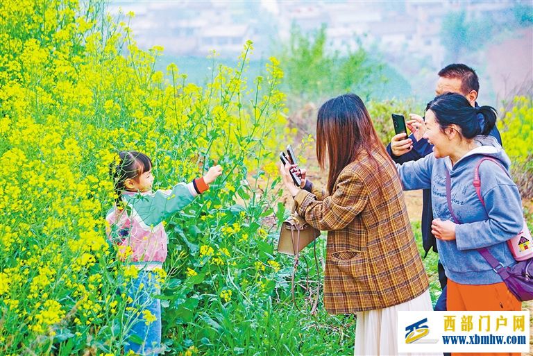 一朵花背后的经济密码(图2) 一朵花背后的经济密码(图2)