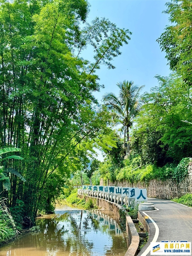 乘中老铁路一路南行 看边陲小镇换新颜(图5) 乘中老铁路一路南行 看边陲小镇换新颜(图5)