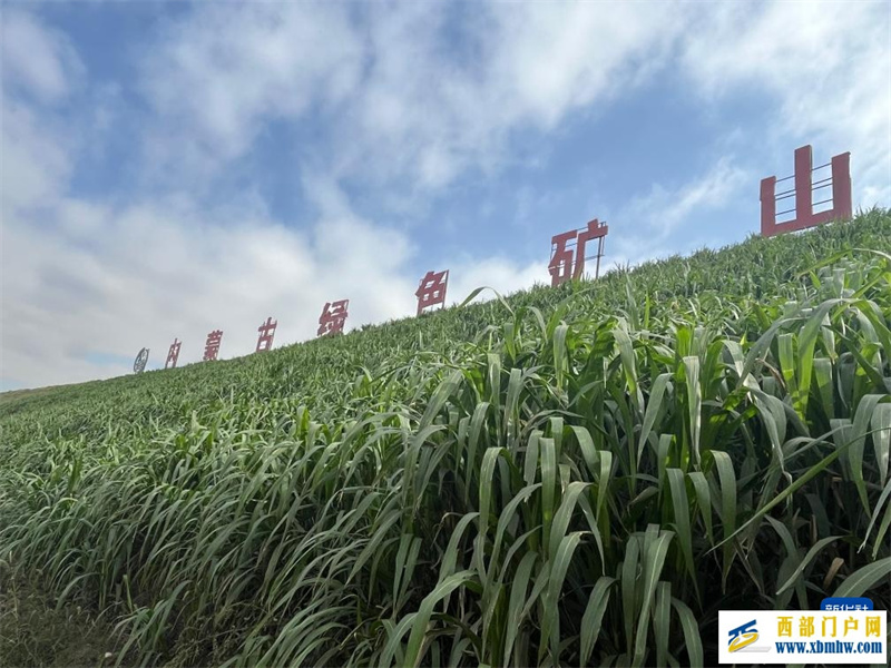 黄河菌草生态安全屏障建设现场座谈会在内蒙古举行(图2) 黄河菌草生态安全屏障建设现场座谈会在内蒙古举行(图2)