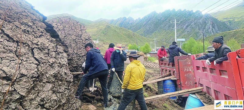 把绿色梦想写在家乡的大地上(图2) 把绿色梦想写在家乡的大地上(图2)