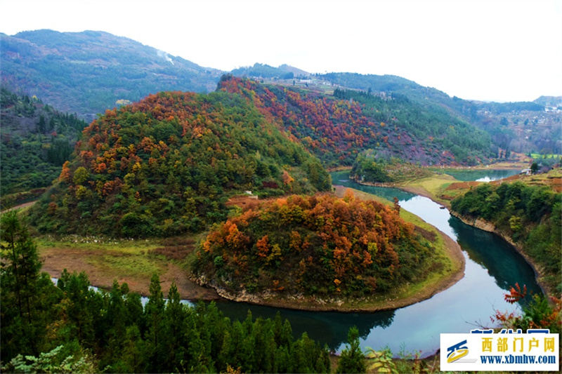 六盘水钟山区: 红叶满山 冬景如画(图3) 六盘水钟山区: 红叶满山 冬景如画(图3)