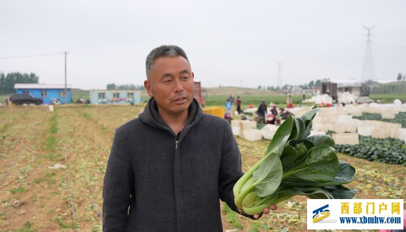 一肥六效,鲁花花生肽肥的化肥替代之路 ——在田间地头实地探访鲁花花生肽肥六大“超能力”(图1) 1.jpg