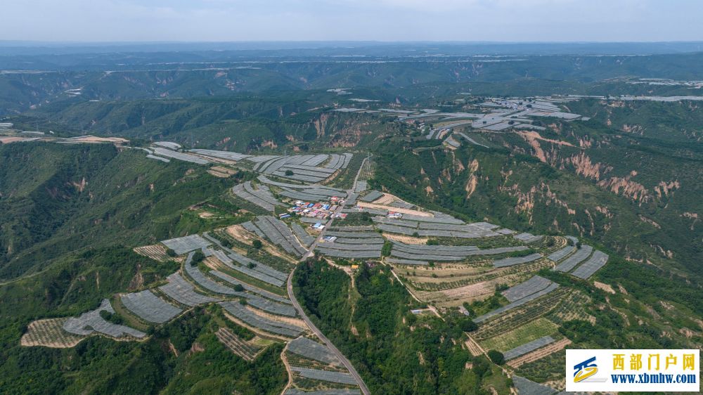 延安：革命圣地绘就多彩画卷(图5)