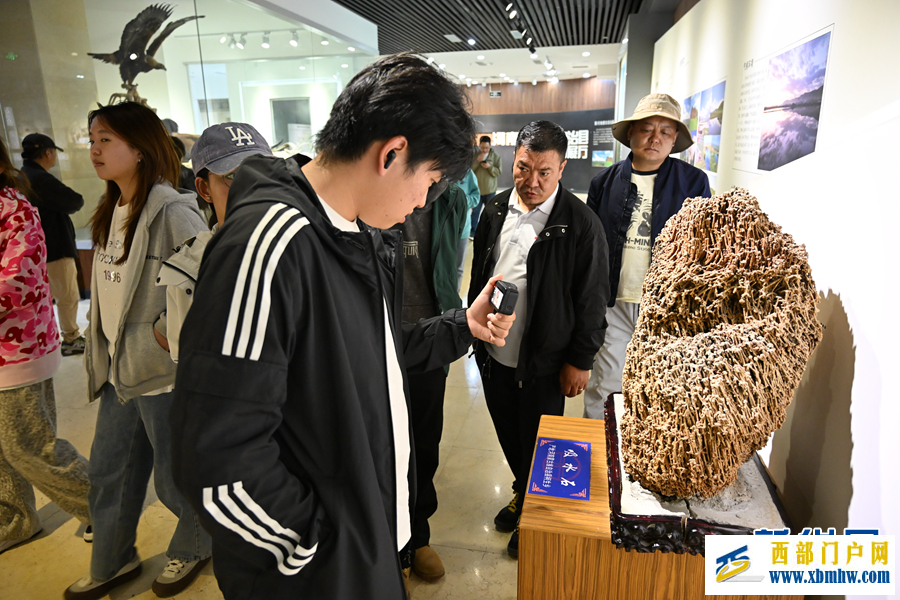 走进黄河南蒙古历史文化博物馆(图1) 走进黄河南蒙古历史文化博物馆(图1)